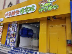 -神奇动物撸宠馆·羊驼·小浣熊·异宠(豫园店)