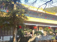 -普陀山风景名胜区-法雨禅寺