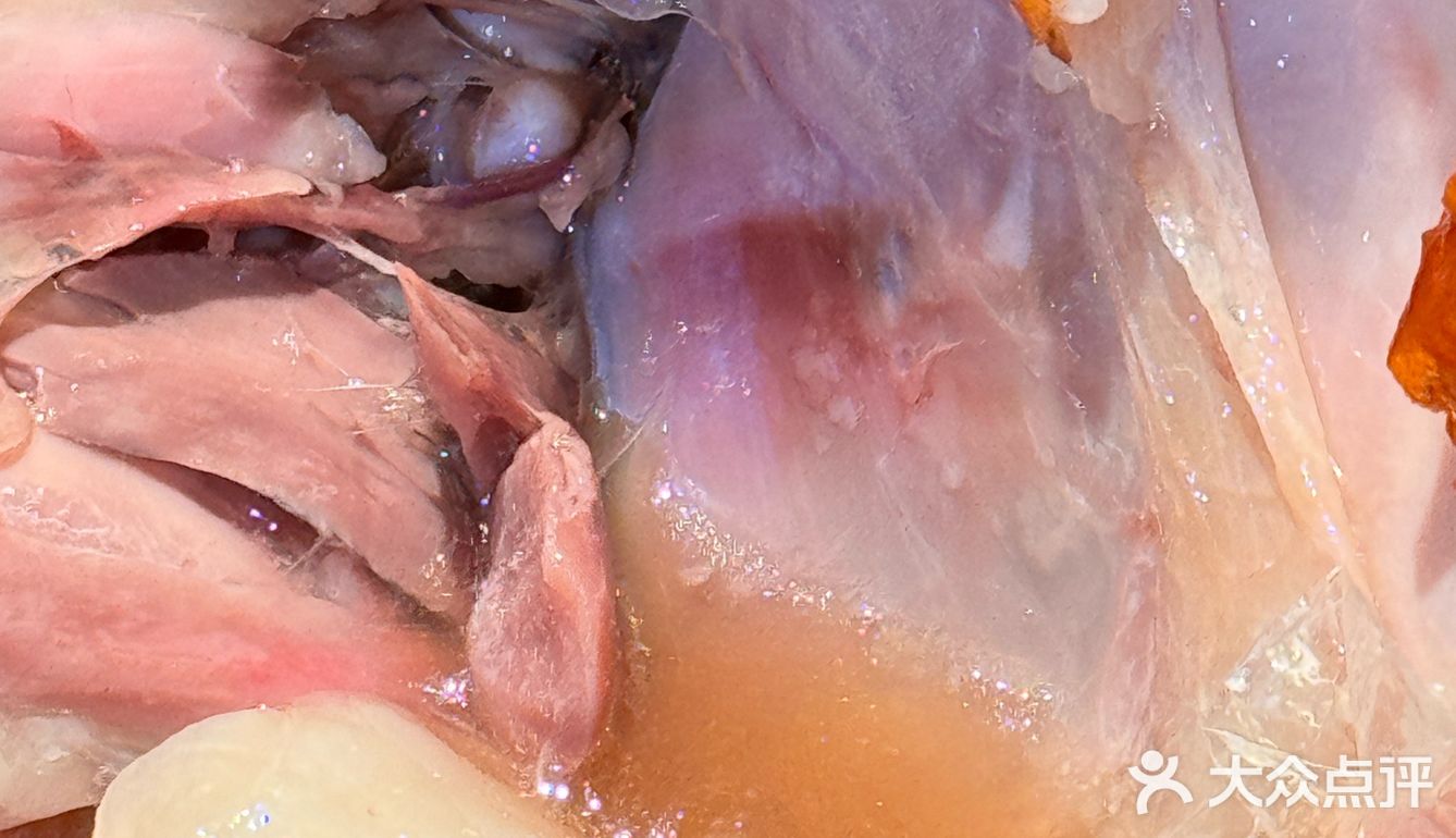 吃鸡也要充满passion！！