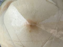 -PAGODA百果园(深圳天琴阁店)