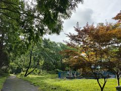 -东平国家森林公园
