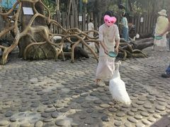 -西双版纳傣族园