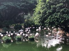 -九龙公园