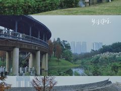 -眉山湿地公园(东坡区)