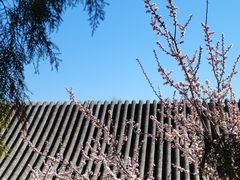-颐和园