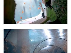 -台州海洋世界