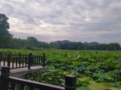 -云龙湖旅游景区