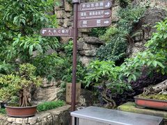-老幺泉水鸡