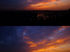 -宝安西湾红树林湿地公园
