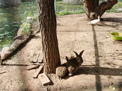 -静之湖湖畔餐厅