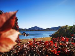 -北京金海湖景区