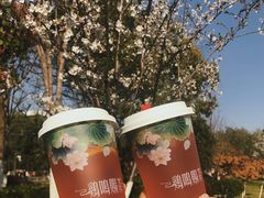 绛初匀·樱花茶-鸡鸣赐茶(鸡鸣寺路店)