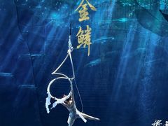 -重庆国际马戏城