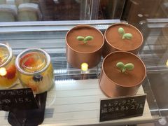 盆栽提拉米苏-帝戎(禾祥西路店)
