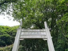 -苏州上方山国家森林公园