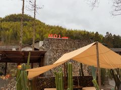 -MOJ coffee(瓯海泽雅水碓坑店)