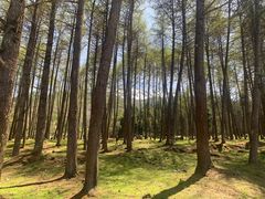 -硗碛藏寨·神木垒景区