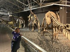 -世界恐龙谷景区