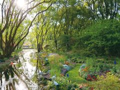 -上海共青森林公园