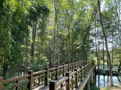 -桤木河湿地公园