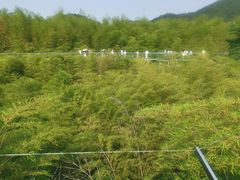 -陶祖圣境风景区