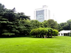 瑞金宾馆-上海瑞金洲际酒店