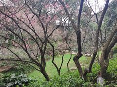 -西湖风景区-江洋畈生态公园