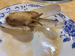 -金砂阿洲鱼册店