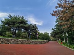 -云岗森林公园