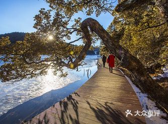【旅行攻略】冬天香格里拉去哪儿看雪景
