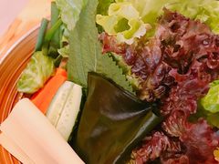 -元奶奶包饭(公新银浦店)