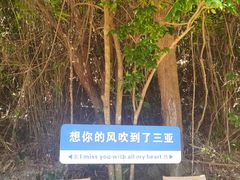 -亚龙湾热带天堂森林公园