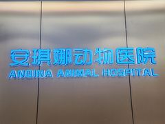 -安琪娜动物医院•健康管理•骨科•急重症诊疗中心