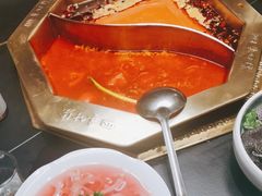 -蜀九香火锅(彩虹店)
