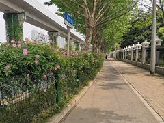 -堤角公园