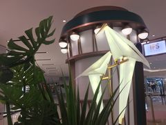 -奈雪的茶(国金中心店)
