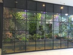 顶楼空中花园-凯德广场(学府店)