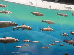 -重庆自然博物馆(新馆)