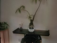 -不凡脑禅境·养生·舒压调理SPA(华发世纪城店)
