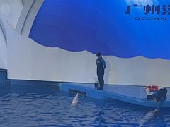 -广州海洋馆