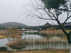 -金乌温泉公园