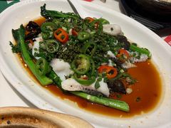 鲜椒香麻淋鱼片-虾饺妹·酒家(海珠广场店)