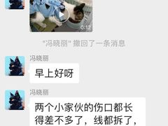 -北京派仕佳德动物医院·超导核磁·CT·神经科·骨科·内外科·急重症管理中心