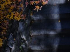 -虎跑公园