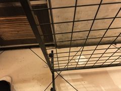 -必胜客(远大路店)