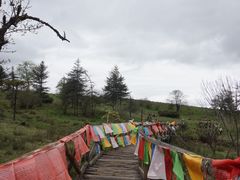 -硗碛藏寨·神木垒景区