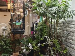 -丽江庭院之丽江往事(安定门店)