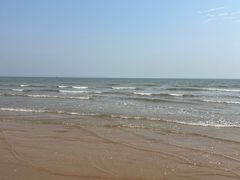 -日照海滨国家森林公园