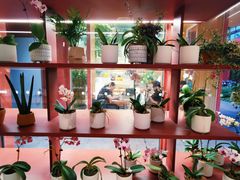 -二酉书店TOYOU BOOKS