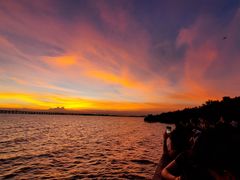 -宝安西湾红树林湿地公园